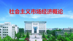 社会主义市场经济概论视频教程 苏晓红 54讲 河南师范大学