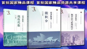 经济数学视频教程 韩华 248讲 武汉理工大学