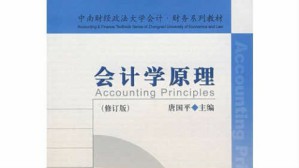 会计学原理视频教程 唐国平 48讲 中南财经政法大学