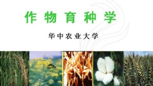 作物育种学视频教程 杨光圣 48讲 华中农业大学