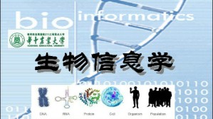生物信息学视频教程 王石平 40讲 华中农业大学