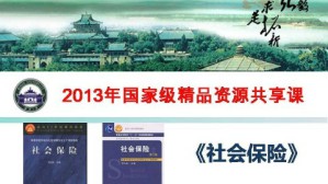 社会保险视频教程 邓大松 54讲 武汉大学