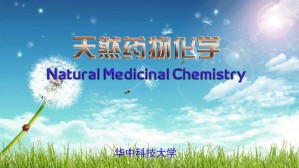 天然药物化学视频教程 吴继洲 96讲 华中科技大学