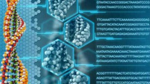 分子生物学视频教程 罗杰 48讲 华中农业大学