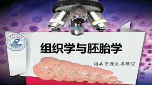 组织学与胚胎学视频教程 李和 80讲 华中科技大学