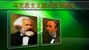 马克思主义基本原理概论视频教程 石云霞 54讲 武汉大学