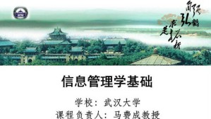 信息管理学基础视频教程 马费成 66讲 武汉大学