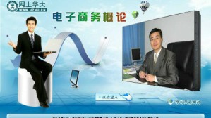 电子商务概论视频教程 王伟军 56讲 华中师范大学职业与继续教育学院