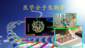 医学分子生物学视频教程 刘静 36讲 中南大学