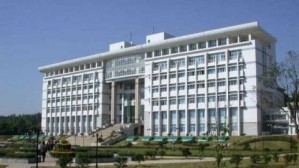 大学英语视频教程 杨华 256讲 湘潭大学