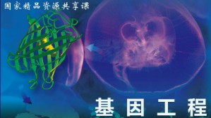 基因工程视频教程 袁婺洲 60讲 湖南师范大学