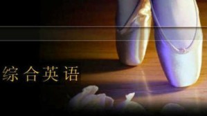综合英语视频教程 刘晓玲 128讲 湖南大学