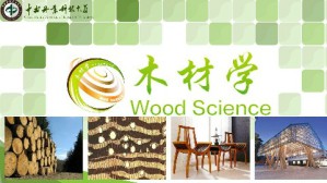 木材学视频教程 吴义强 70讲 中南林业科技大学
