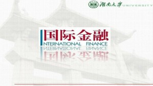 国际金融学视频教程 杨胜刚 48讲 湖南大学