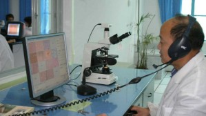 病理学与病理生理学视频教程 吴和平 94讲 湖南医药学院