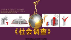 社会调查视频教程 张苏辉 65讲 长沙民政职业技术学院
