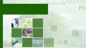 生理学视频教程 管茶香 70讲 中南大学网络教育学院