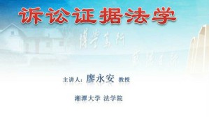 诉讼证据法学视频教程 廖永安 48讲 湘潭大学
