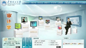 审计学视频教程 曹建新 64讲 华南理工大学网络教育学院