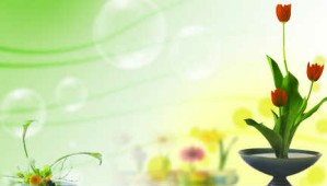 插花与花艺设计视频教程 谢利娟 96讲 深圳职业技术学院