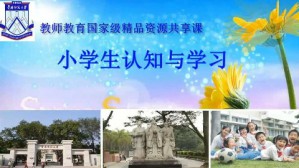 小学生认知与学习 陈俊 45讲 华南师范大学