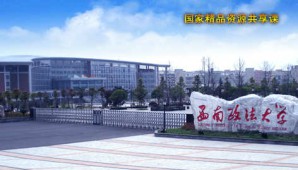 民法学视频教程 谭启平 102讲 西南政法大学