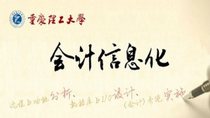 会计信息化视频教程 陈旭 128讲 重庆理工大学