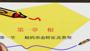 财务会计视频教程 余海宗 40讲 西南财经大学网络教育学院