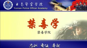 禁毒学视频教程 昂钰 54讲 云南警官学院