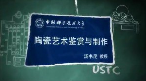 陶瓷艺术鉴赏与制作视频教程 汤书昆 7讲 中国科学技术大学