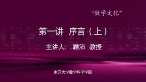 数学文化视频教程 顾沛 8讲 南开大学