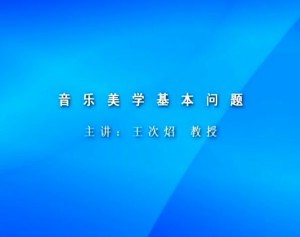 音乐美学基本问题视频教程 王次炤 5讲 中央音乐学院