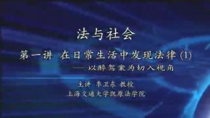 法与社会视频教程 季卫东 8讲 上海交通大学