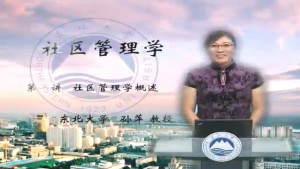 社区管理学视频教程 孙萍 5讲 东北大学