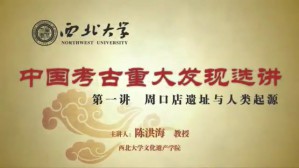 中国考古重大发现选讲视频教程 钱耀鹏 10讲 西北大学