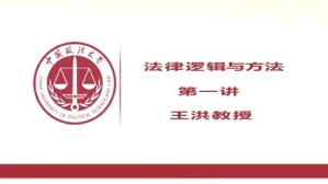 法律逻辑与方法视频教程 王洪 10讲 中国政法大学