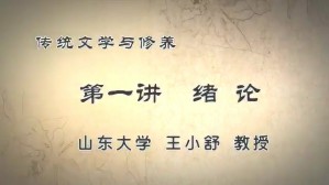 传统文学与修养视频教程 王小舒 9讲 山东大学