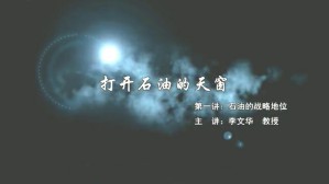 打开石油的天窗视频教程 李文华 8讲 重庆科技学院