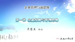 企业管理与新思维视频教程 吴慈生 5讲 合肥工业大学