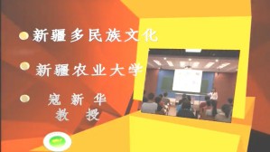 新疆多民族文化视频教程 寇新华 7讲 新疆农业大学