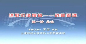 谋取价值增值——战略管理视频教程 王玉 10讲 上海财经大学