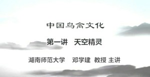 中国鸟禽文化视频教程 邓学建 6讲 湖南师范大学