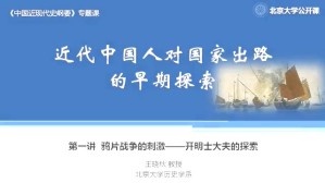 近代中国人对国家出路的早期探索视频教程 王晓秋 6讲 北京大学