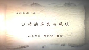 汉语知识十讲视频教程 张树铮 12讲 山东大学