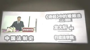 中国法制史视频教程 龙大轩 5讲 西南政法大学