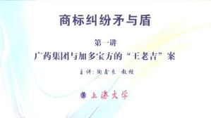商标纠纷矛与盾视频教程 陶鑫良 7讲 上海大学