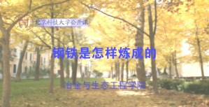 钢铁是怎样炼成的视频教程 吴胜利 5讲 北京科技大学