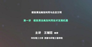 煤炭清洁高效利用与生态文明视频教程 王辅臣 5讲 华东理工大学