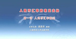人民币汇率的来龙去脉视频教程 奚君羊 5讲 上海财经大学