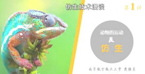 仿生技术漫谈视频教程 戴振东 6讲 南京航空航天大学